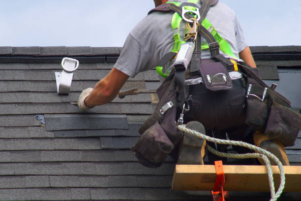 Best Metal Roofing Contractor  in East St Louis, IL