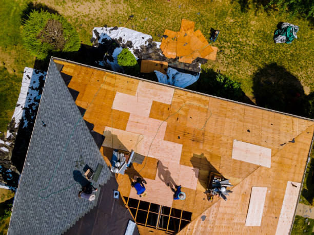 Best Roof Gutter Cleaning  in East St Louis, IL