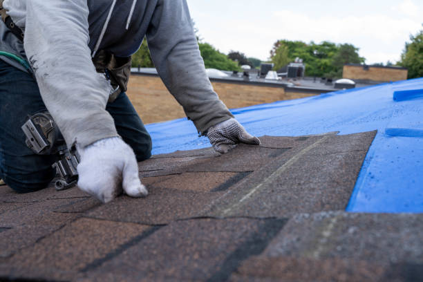 Best Residential Roofing Contractor  in East St Louis, IL