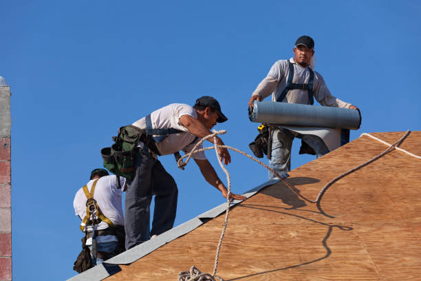 Best Flat Roof Repair Services  in East St Louis, IL